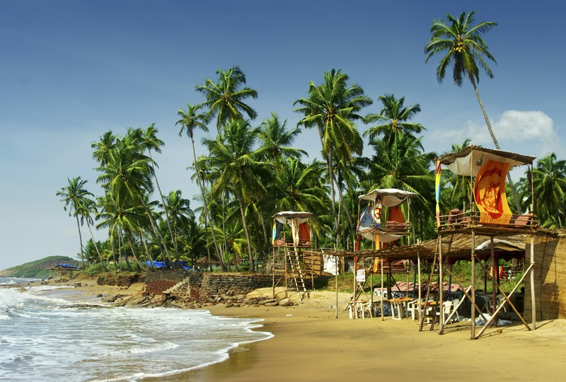 🌟Отель в Северном Гоа с идеальным расположением🌟