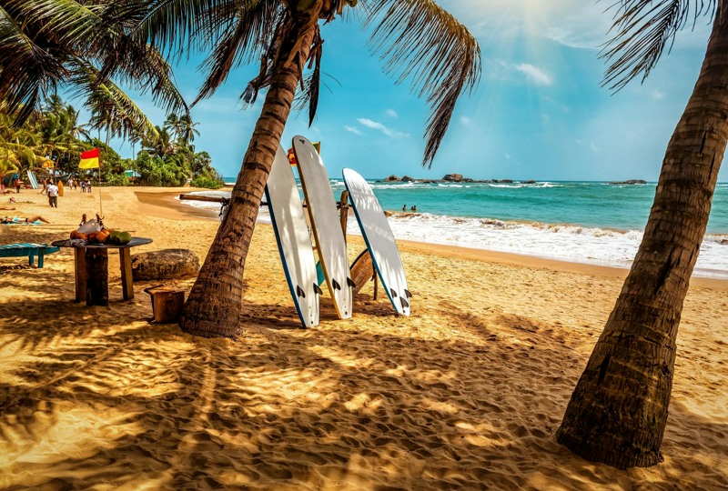 🏝️Отдых на Шри-Ланке. Вылет 25 марта!🏝️