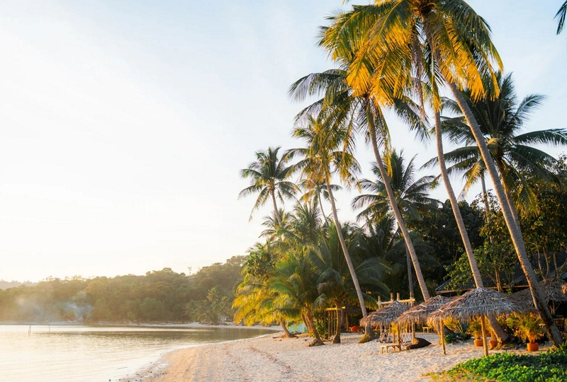 🏝️Самуи + Бангкок, вылет 6 июня🏝️