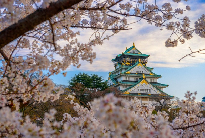 💫 Экскурсионный тур в Японию, вылет 3 мая 💫