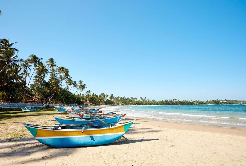 🇱🇰Летим на Шри-Ланку. Вылет 14 апреля!🇱🇰