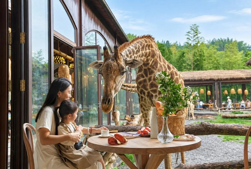 🦒Шанхайские истории: в гости к жирафам🦒