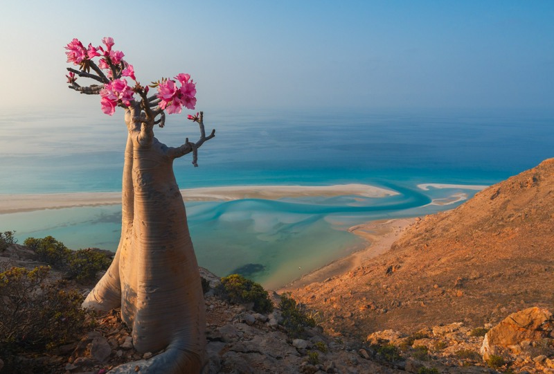 Уникальная Сокотра